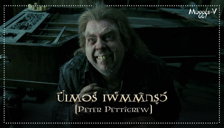 ปีเตอร์ เพ็ตติกรูว์ (Peter Pettigrew)