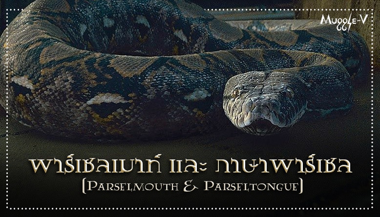 พาร์เซลเมาท์ และ ภาษาพาร์เซล (Parselmouth & Parseltongue)